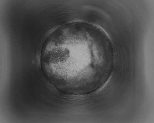 X0000100940921200807151303