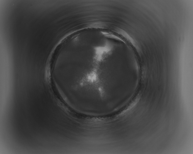 X0000100940923200807151303