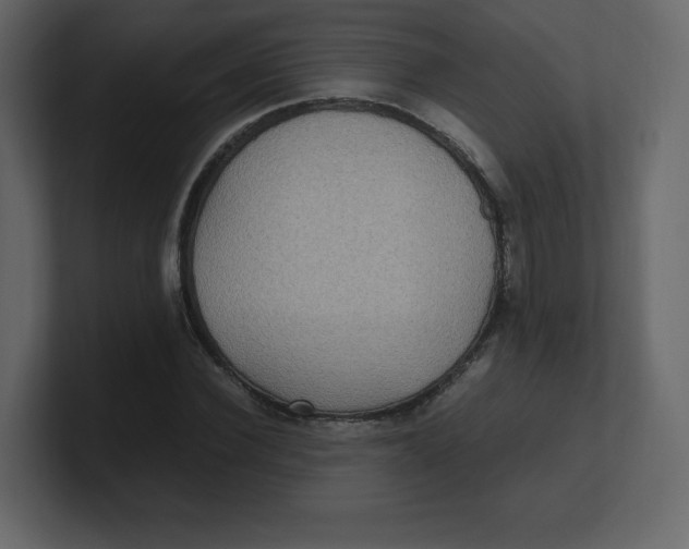 X0000100940924200807151303