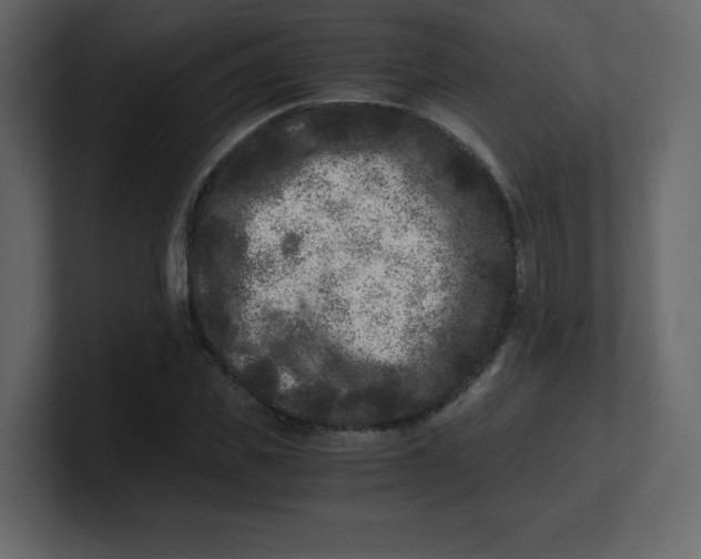 X0000100940925200807151303