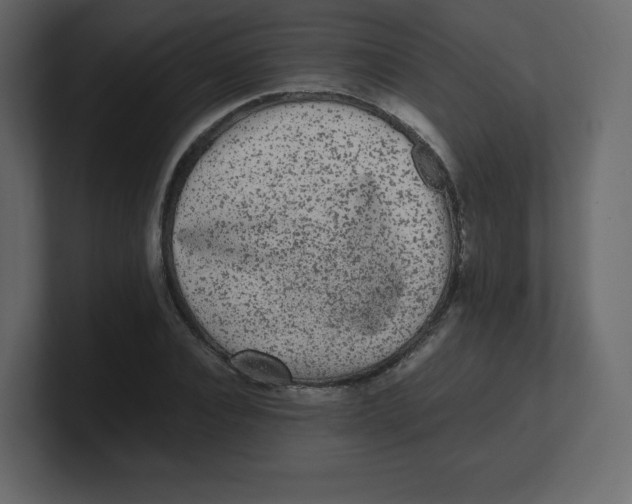 X0000100940928200807151303