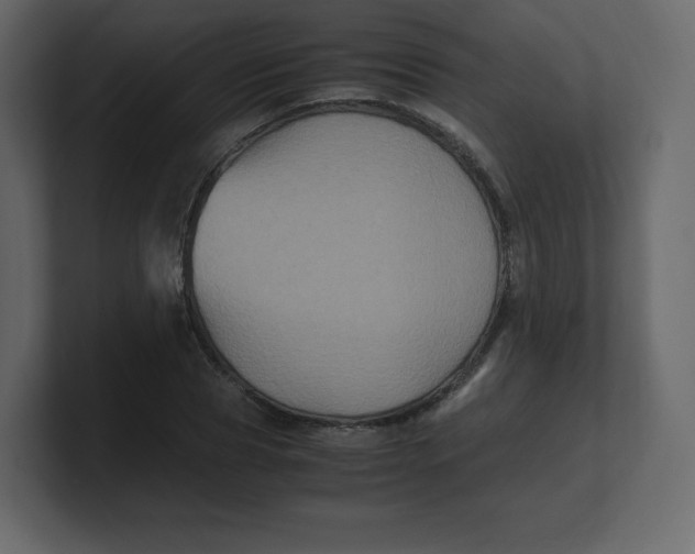 X0000100940929200807151303