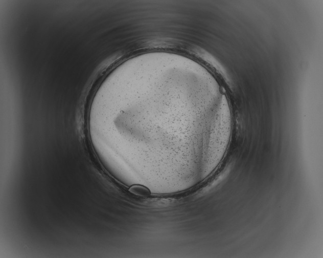 X0000100940930200807151303