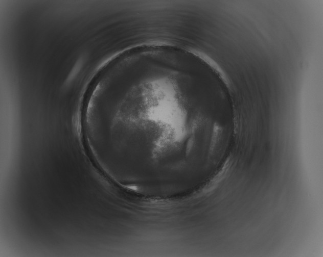 X0000100940935200807151303