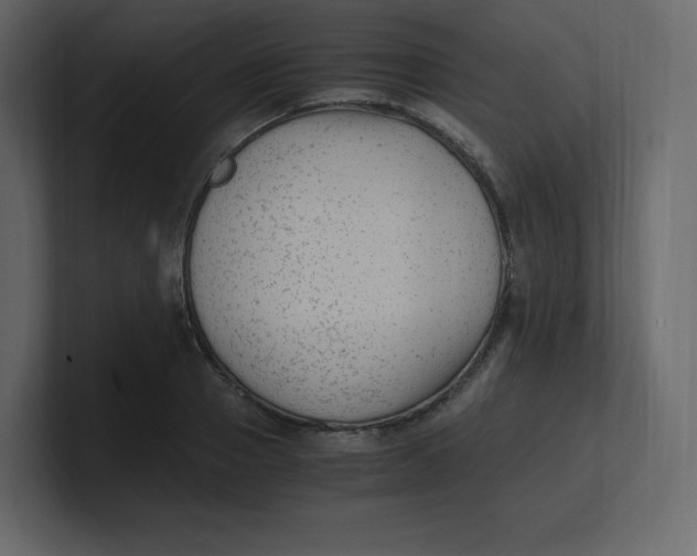 X0000100940937200807151303