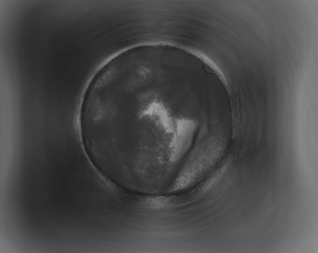 X0000100940943200807151303