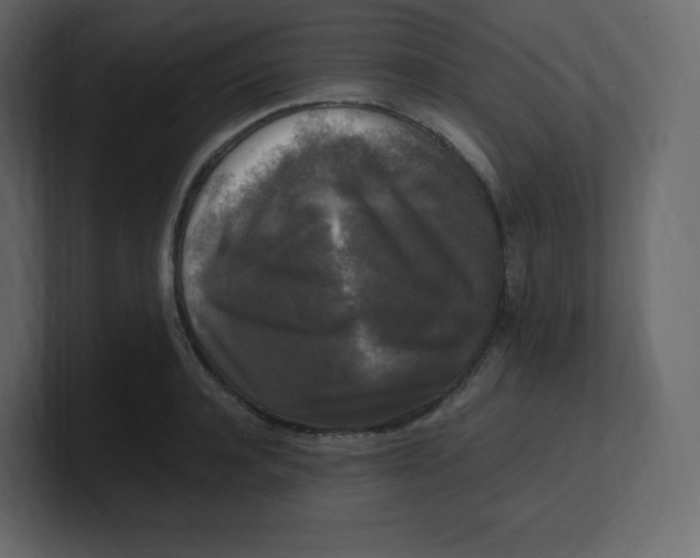 X0000100940944200807151303