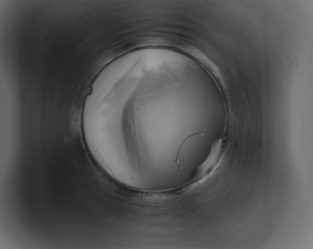 X0000100940945200807151303