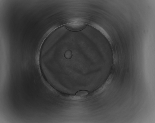 X0000100940946200807151303