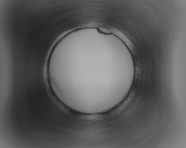 X0000100940948200807151303