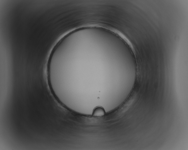 X0000100940951200807151303