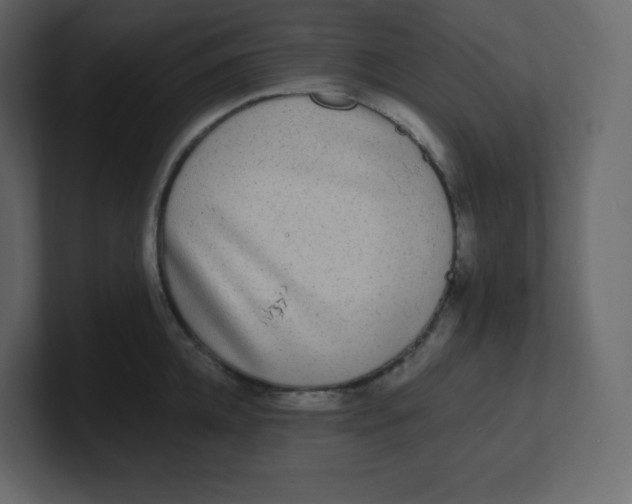 X0000100940952200807151303