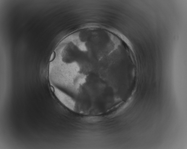 X0000100940953200807151303