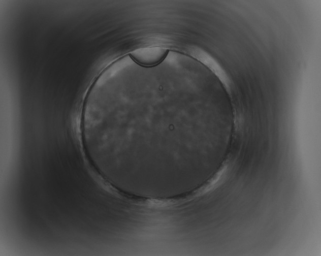 X0000100940954200807151303