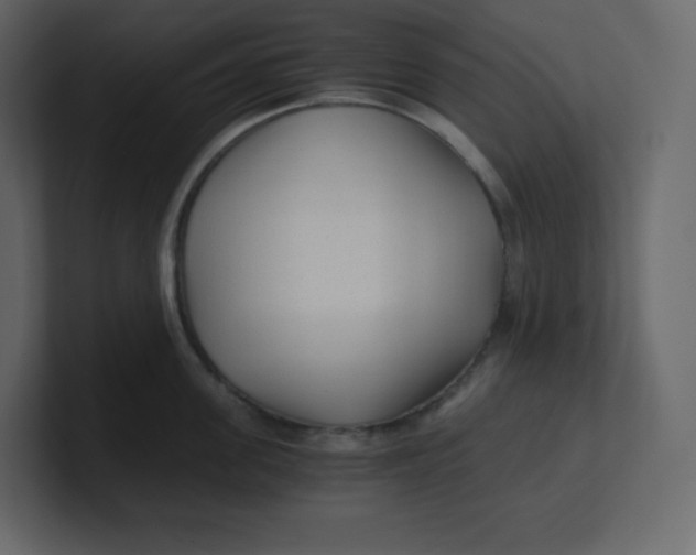 X0000100940955200807151303