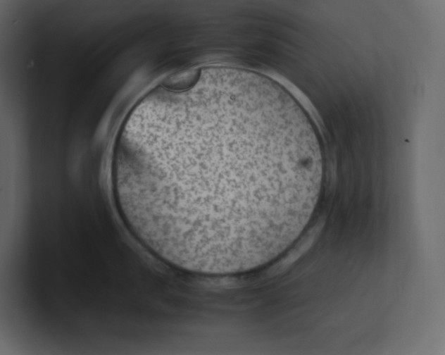 X0000100940957200807151303