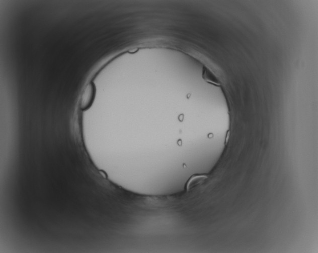 X0000100940960200807151303