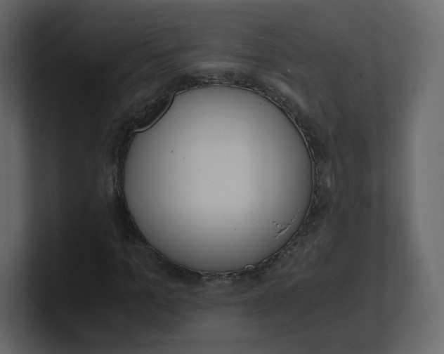 X0000100940965200807151302