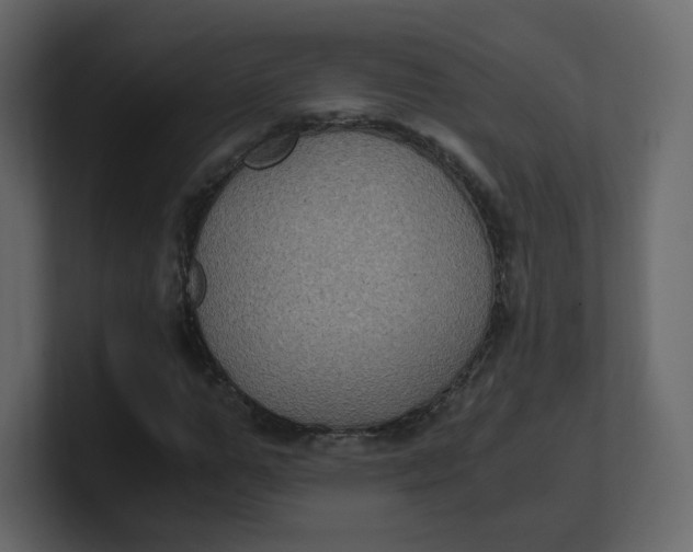 X0000100940967200807151302