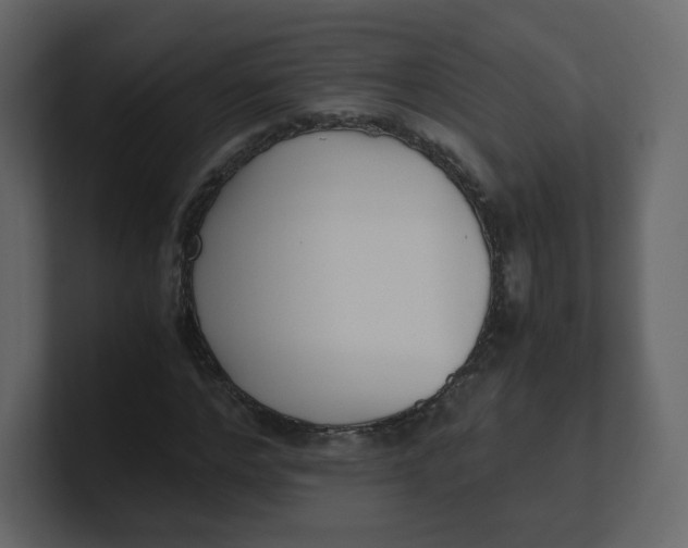 X0000100940968200807151302