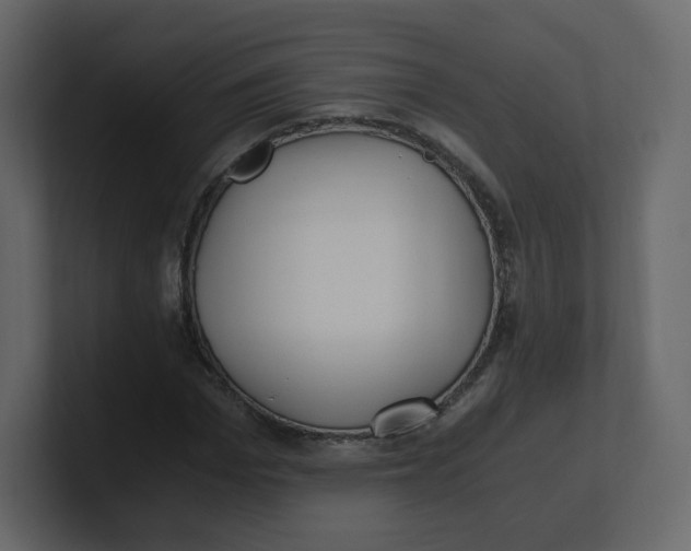 X0000100940969200807151302