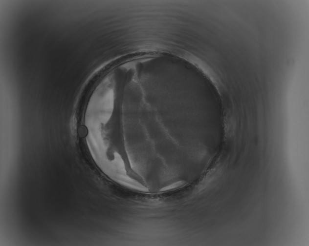 X0000100940975200807151302