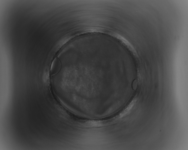 X0000100940977200807151302