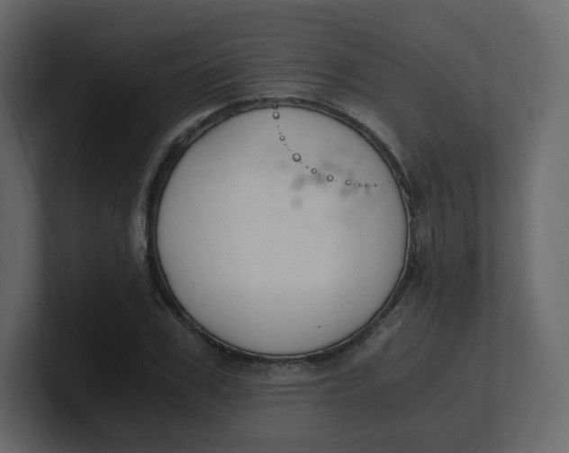 X0000100940979200807151302