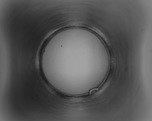 X0000100940981200807151302