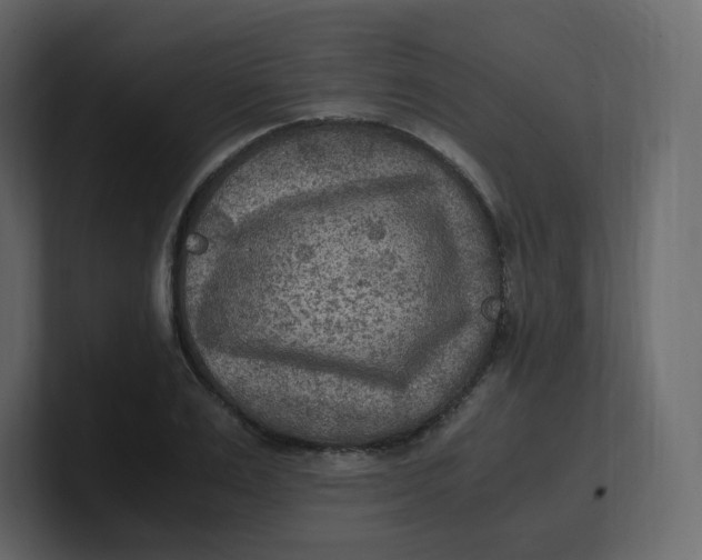 X0000100940983200807151302