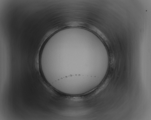 X0000100940986200807151302