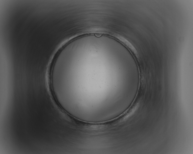 X0000100940989200807151302