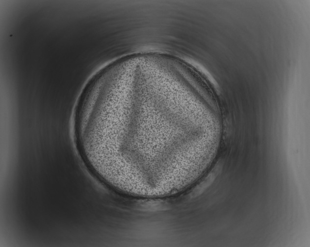 X0000100940991200807151302