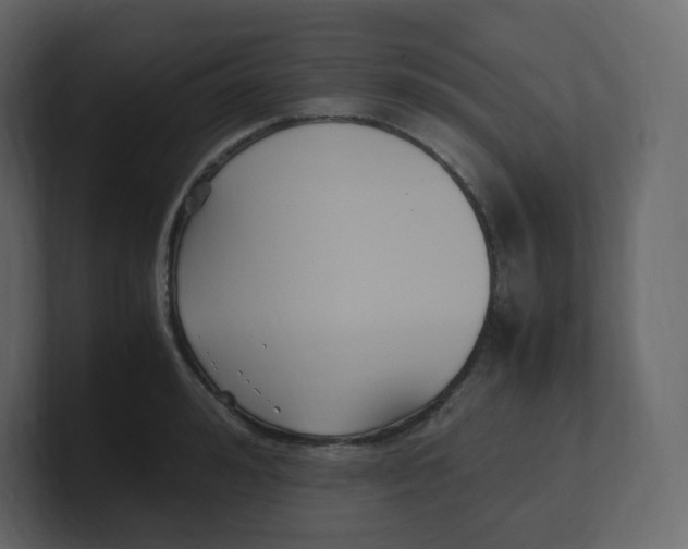 X0000100940992200807151302