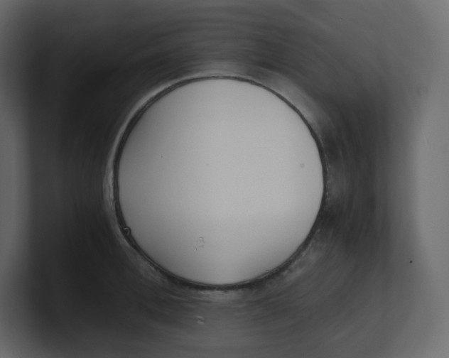 X0000100940996200807151302