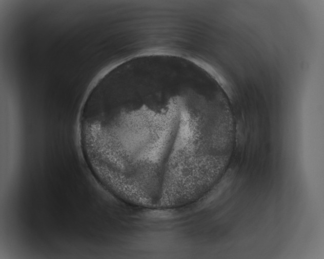 X0000100940998200807151302