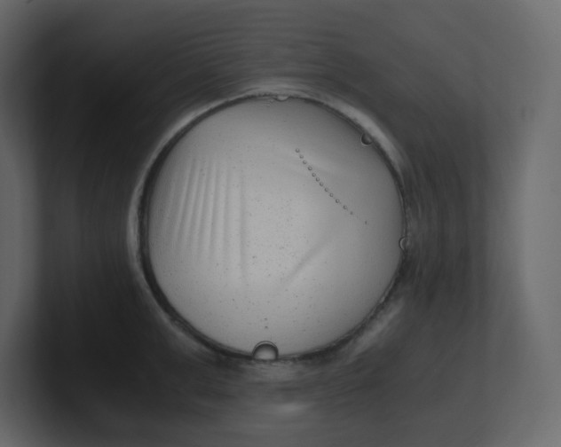 X0000100940999200807151302