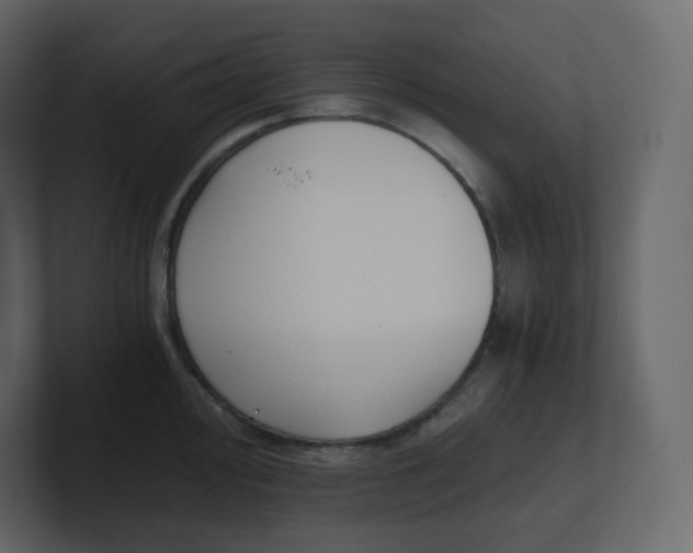 X0000100941000200807151302