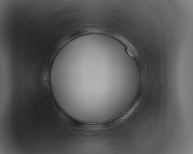 X0000100941001200807151302