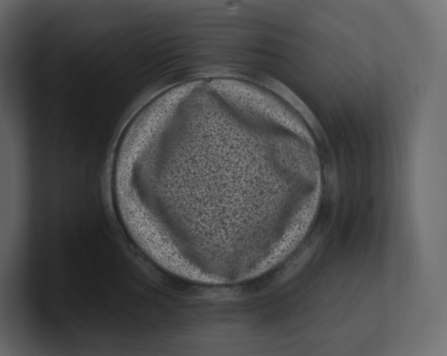 X0000100941002200807151302