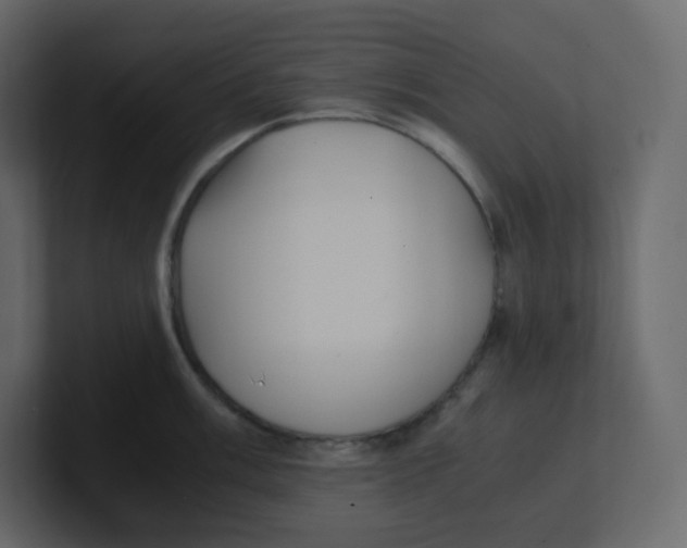 X0000100941003200807151302