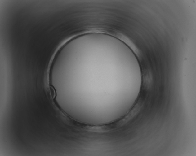 X0000100941004200807151302