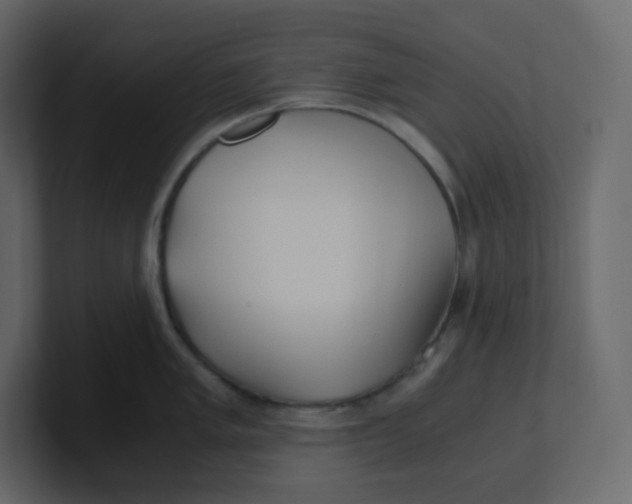 X0000100941005200807151302