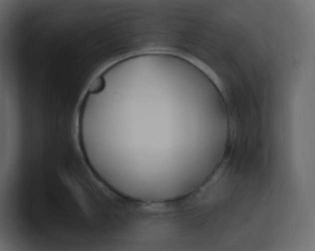 X0000100941006200807151302