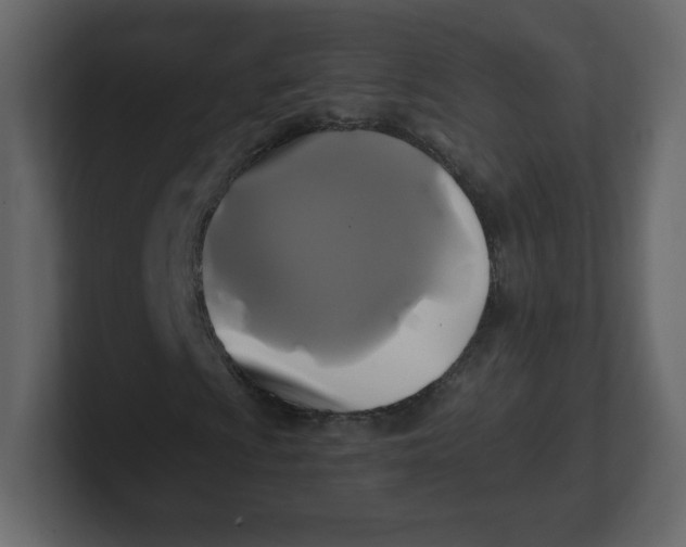 X0000100941009200807151301