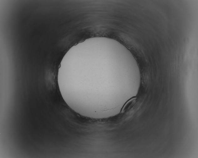 X0000100941010200807151301