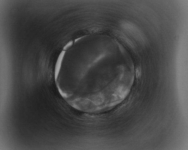 X0000100941011200807151301