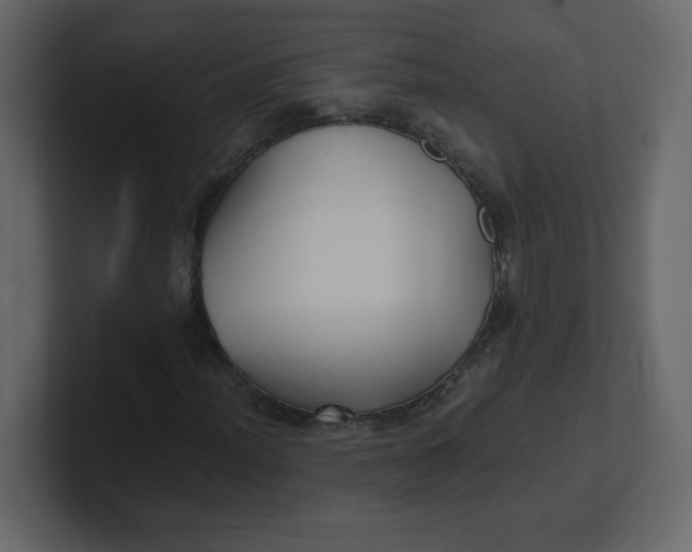 X0000100941012200807151301