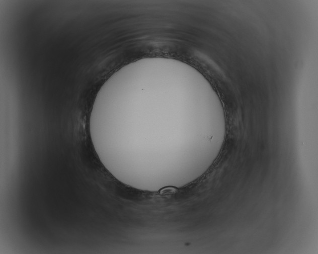 X0000100941013200807151301