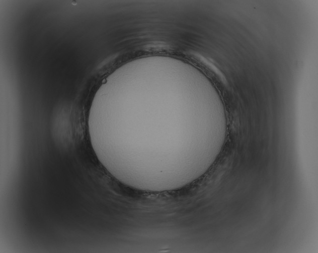 X0000100941015200807151301